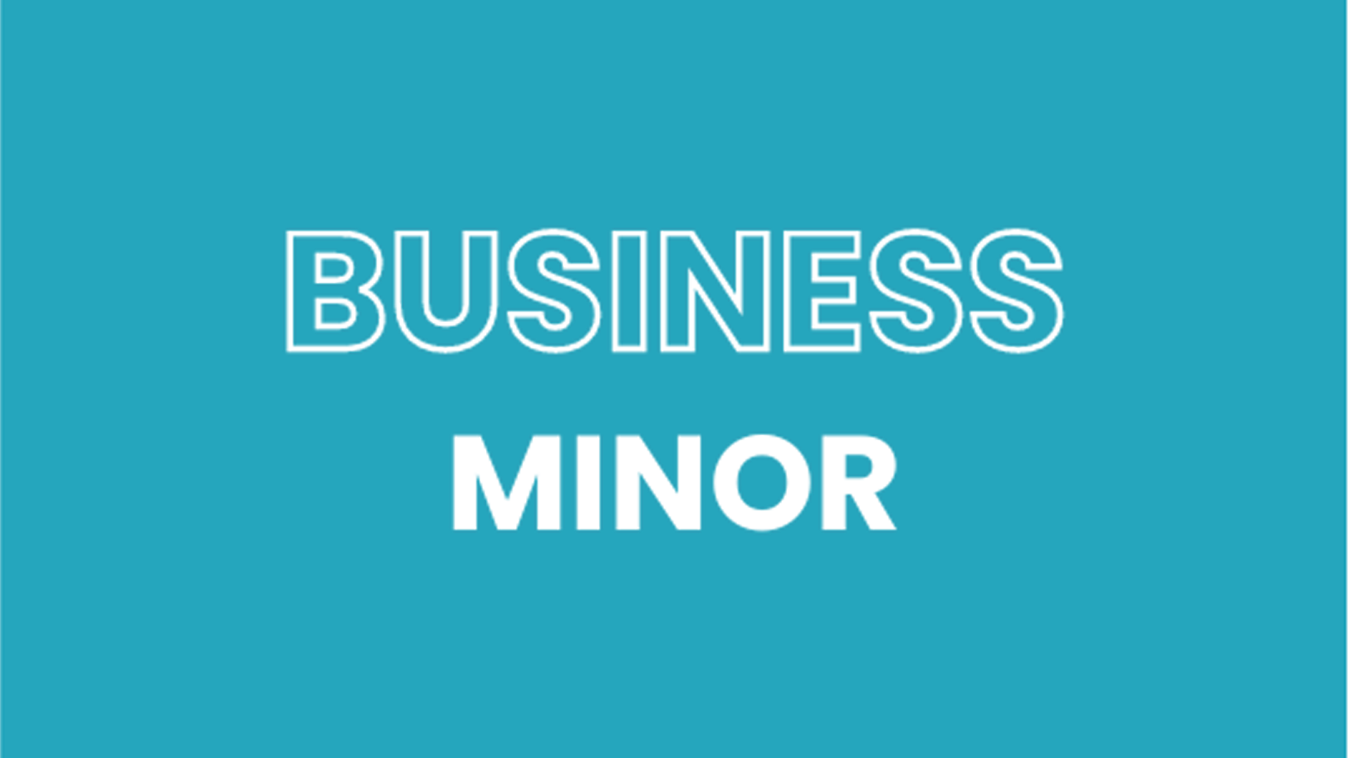 Business Minor